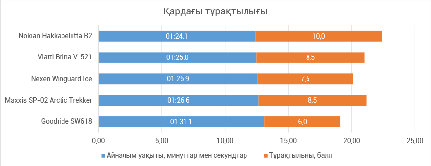 Устойчивость на снегу